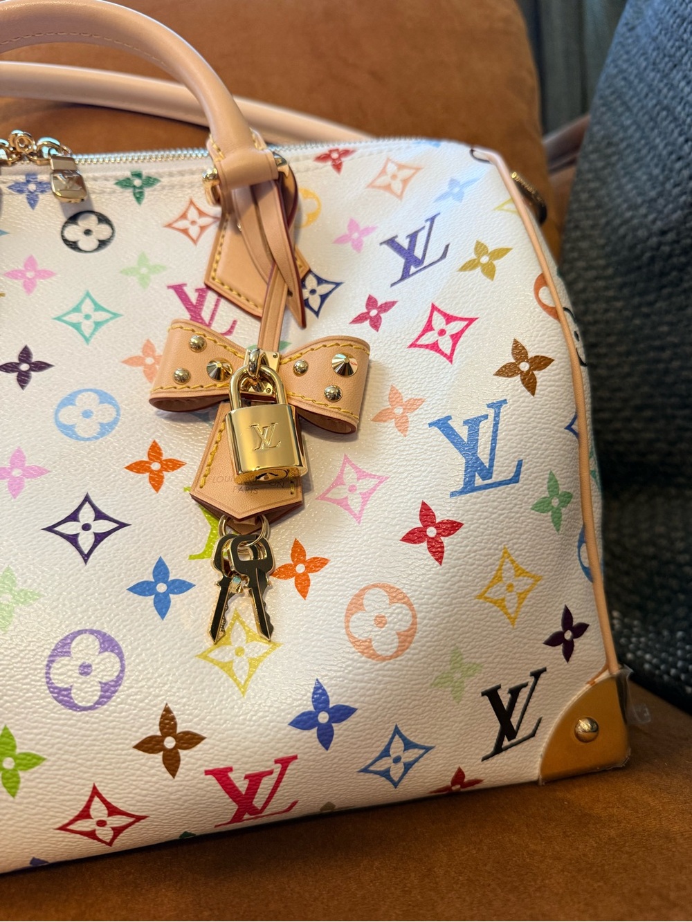 LV x TM Multicolor Speedy Soft 30 - Picture 14 of 16